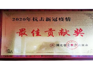 2020年湖北省文化產(chǎn)業(yè)商會(huì ) 2020抗擊新冠疫情最具貢獻獎